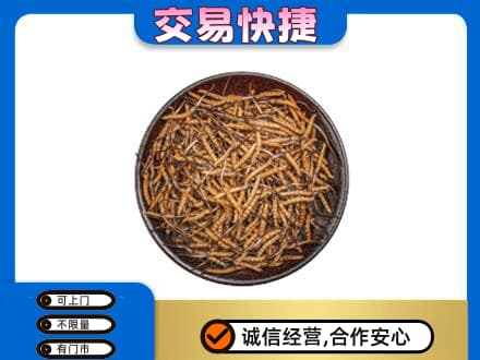 泰州回收散虫草